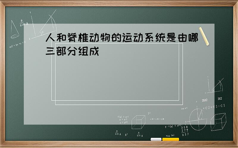 人和脊椎动物的运动系统是由哪三部分组成