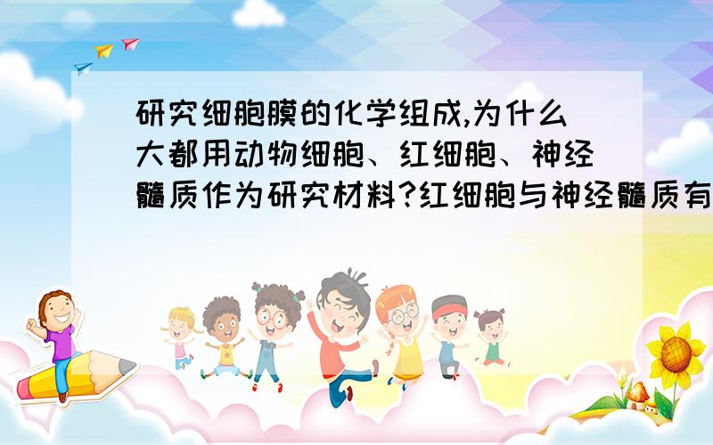 研究细胞膜的化学组成,为什么大都用动物细胞、红细胞、神经髓质作为研究材料?红细胞与神经髓质有什么相同点吗?只有动物细胞中才有红细胞吗?