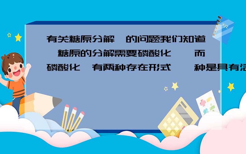 有关糖原分解酶的问题我们知道,糖原的分解需要磷酸化酶,而磷酸化酶有两种存在形式,一种是具有活性的磷酸化酶A形式,其上连有磷酸基团,一种是无活性的磷酸化酶B形式,上面没有Pi,这两种