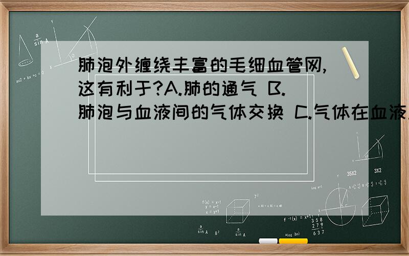 肺泡外缠绕丰富的毛细血管网,这有利于?A.肺的通气 B.肺泡与血液间的气体交换 C.气体在血液里的运输D.组织里的气体交换