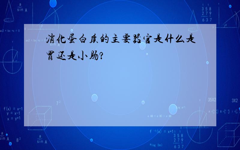 消化蛋白质的主要器官是什么是胃还是小肠?