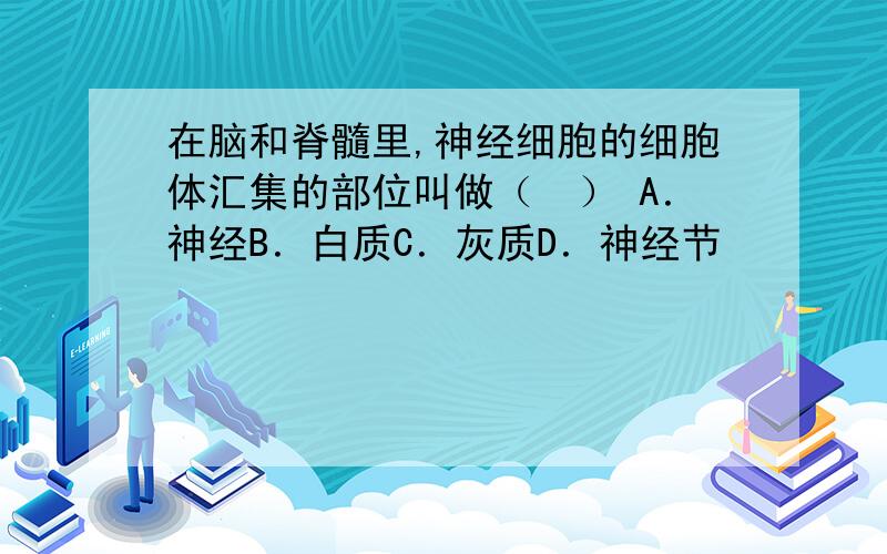 在脑和脊髓里,神经细胞的细胞体汇集的部位叫做（　） A．神经B．白质C．灰质D．神经节