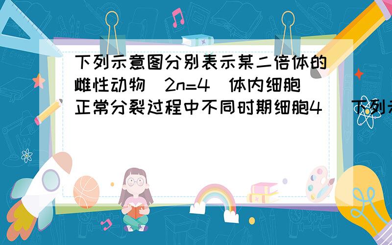 下列示意图分别表示某二倍体的雌性动物(2n=4)体内细胞正常分裂过程中不同时期细胞4． 下列示意图分别表示某二倍体雌性动物（2n＝4）体内细胞正常分裂过程中不同时期细胞内染色体、染