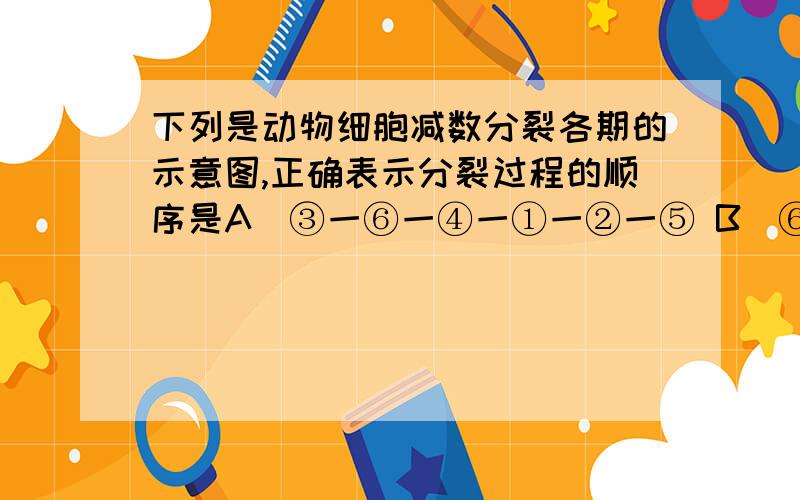 下列是动物细胞减数分裂各期的示意图,正确表示分裂过程的顺序是A．③一⑥一④一①一②一⑤ B．⑥一③一②一④一①一⑤C．⑨一⑥一④一②一①一⑤ D．③一⑥一②一④一①一⑤