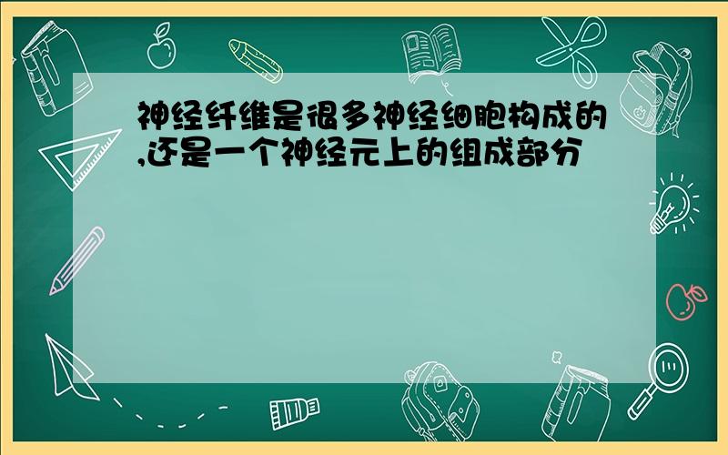 神经纤维是很多神经细胞构成的,还是一个神经元上的组成部分