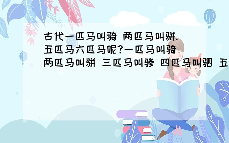 古代一匹马叫骑 两匹马叫骈.五匹马六匹马呢?一匹马叫骑 两匹马叫骈 三匹马叫骖 四匹马叫驷 五匹马叫.六匹马叫?