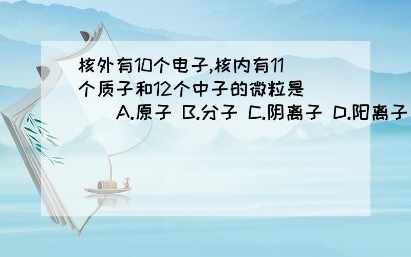 核外有10个电子,核内有11个质子和12个中子的微粒是（ ） A.原子 B.分子 C.阴离子 D.阳离子