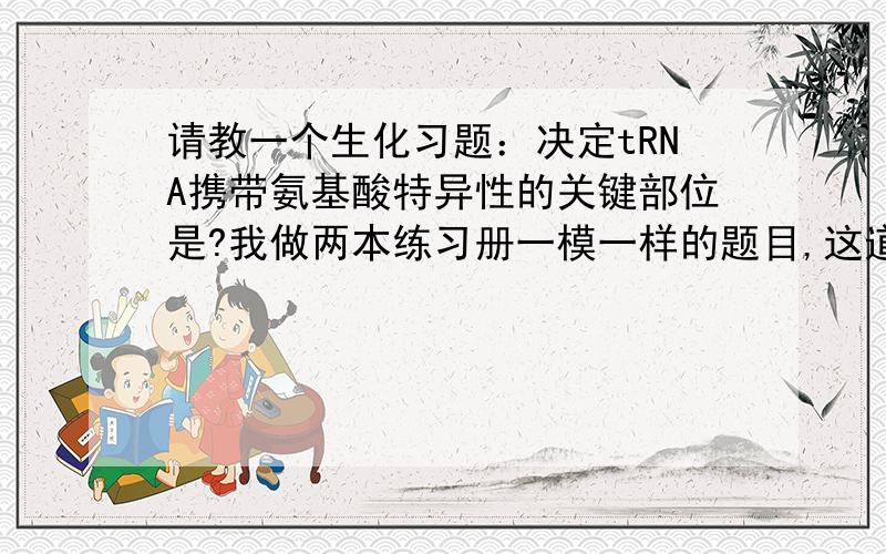 请教一个生化习题：决定tRNA携带氨基酸特异性的关键部位是?我做两本练习册一模一样的题目,这道题的答案都不一样.一个是 3‘端的-CCA序列一个是 反密码子环,