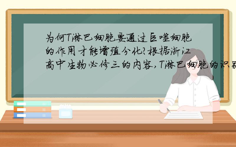 为何T淋巴细胞要通过巨噬细胞的作用才能增殖分化?根据浙江高中生物必修三的内容,T淋巴细胞的识别过程：首先要巨噬细胞吞噬抗原处理呈递抗原-MHC复合体,然后T淋巴细胞上受体与其结合才