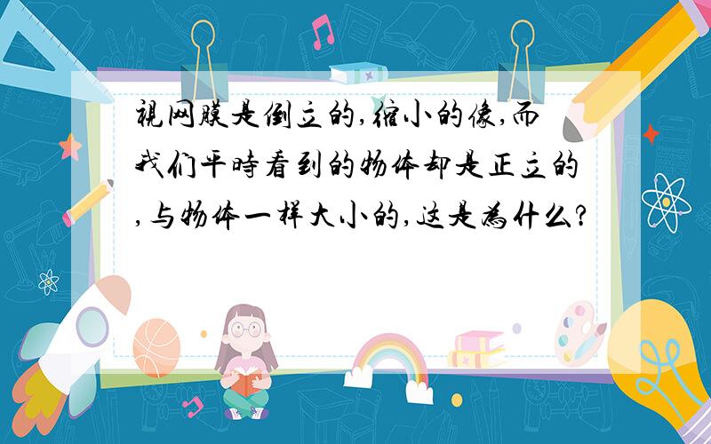 视网膜是倒立的,缩小的像,而我们平时看到的物体却是正立的,与物体一样大小的,这是为什么?