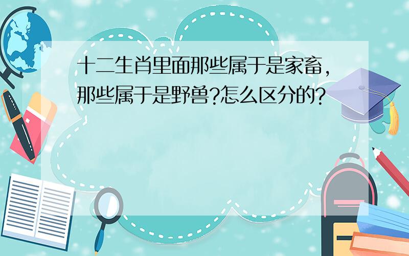 十二生肖里面那些属于是家畜,那些属于是野兽?怎么区分的?