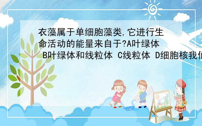 衣藻属于单细胞藻类,它进行生命活动的能量来自于?A叶绿体 B叶绿体和线粒体 C线粒体 D细胞核我们老师说是B但我觉得是C啊?请专业人物回答!