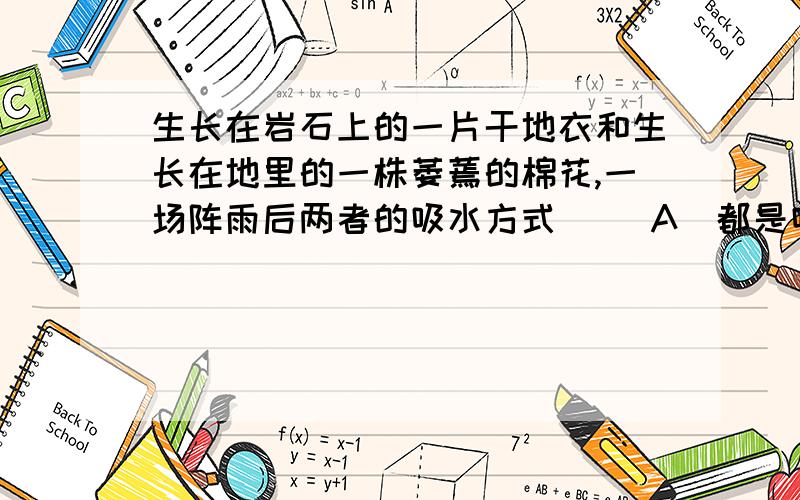 生长在岩石上的一片干地衣和生长在地里的一株萎蔫的棉花,一场阵雨后两者的吸水方式( )A．都是吸胀作用 B．分别是吸胀作用和渗透作用C．都是渗透作用 D．分别是渗透作用和吸胀作用