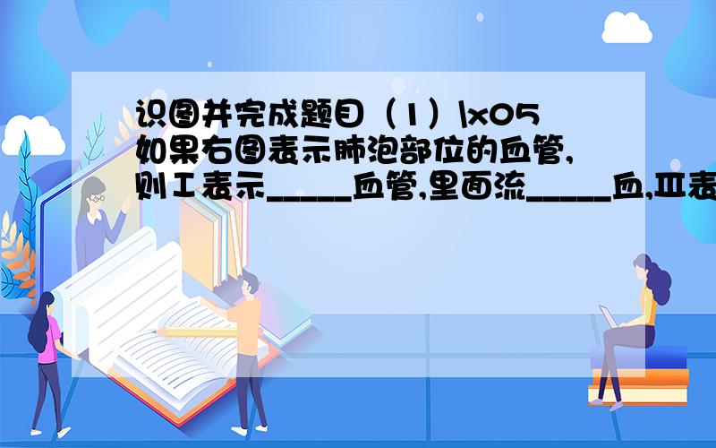 识图并完成题目（1）\x05如果右图表示肺泡部位的血管,则Ⅰ表示_____血管,里面流_____血,Ⅲ表示_____血管,里面流_____血；（2）\x05如果右图表示组织细胞处的血管,则Ⅰ表示_____血管,里面流_____血