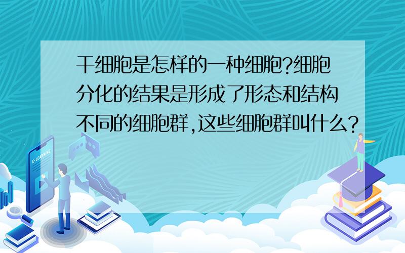 干细胞是怎样的一种细胞?细胞分化的结果是形成了形态和结构不同的细胞群,这些细胞群叫什么?