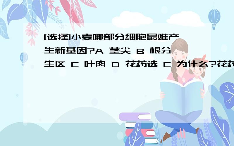 [选择]小麦哪部分细胞最难产生新基因?A 茎尖 B 根分生区 C 叶肉 D 花药选 C 为什么?花药有细胞周期么？为什么？花药还继续有丝分裂？花药里面不是精子么？