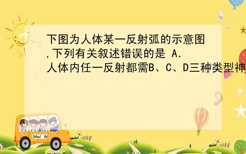 下图为人体某一反射弧的示意图,下列有关叙述错误的是 A．人体内任一反射都需B、C、D三种类型神经细胞参与 B．在细胞A处给予一个刺激,电流计的指针能发生两次方向相反的偏转 C．若从a处