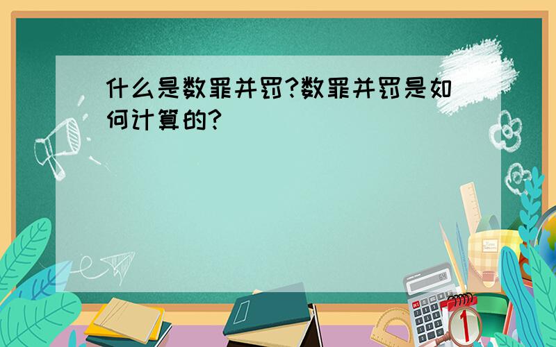 什么是数罪并罚?数罪并罚是如何计算的?