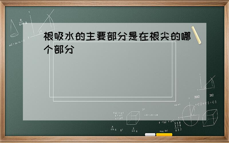 根吸水的主要部分是在根尖的哪个部分