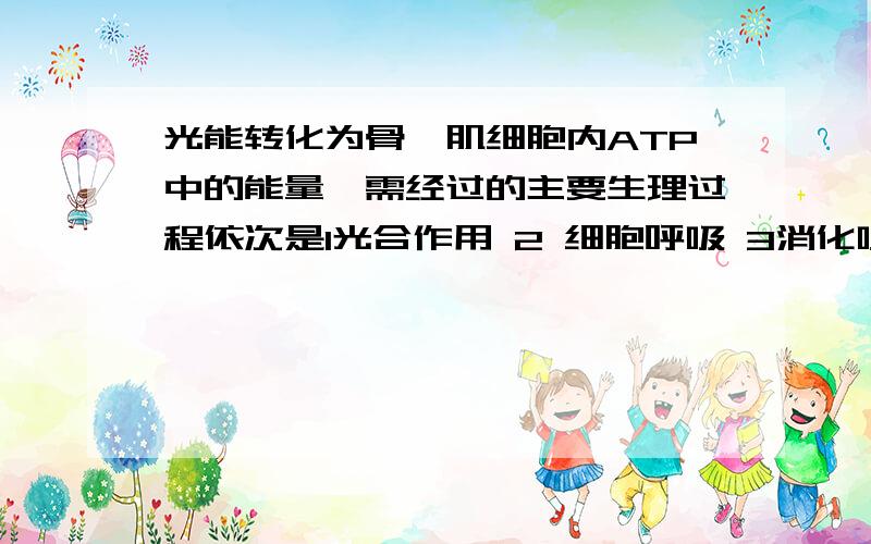 光能转化为骨骼肌细胞内ATP中的能量,需经过的主要生理过程依次是1光合作用 2 细胞呼吸 3消化吸收 4 主动运输