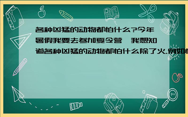 各种凶猛的动物都怕什么?今年暑假我要去参加夏令营,我想知道各种凶猛的动物都怕什么除了火，例如怕什么颜色，什么动作？狗为什么怕人弯腰