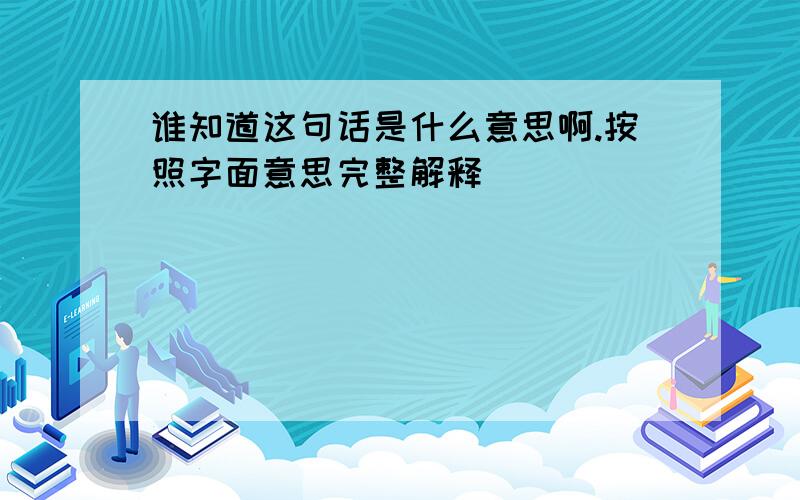 谁知道这句话是什么意思啊.按照字面意思完整解释