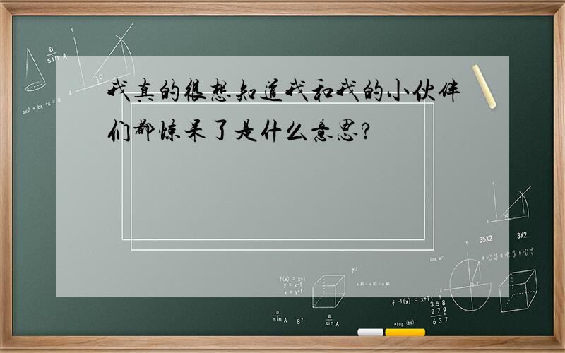 我真的很想知道我和我的小伙伴们都惊呆了是什么意思?