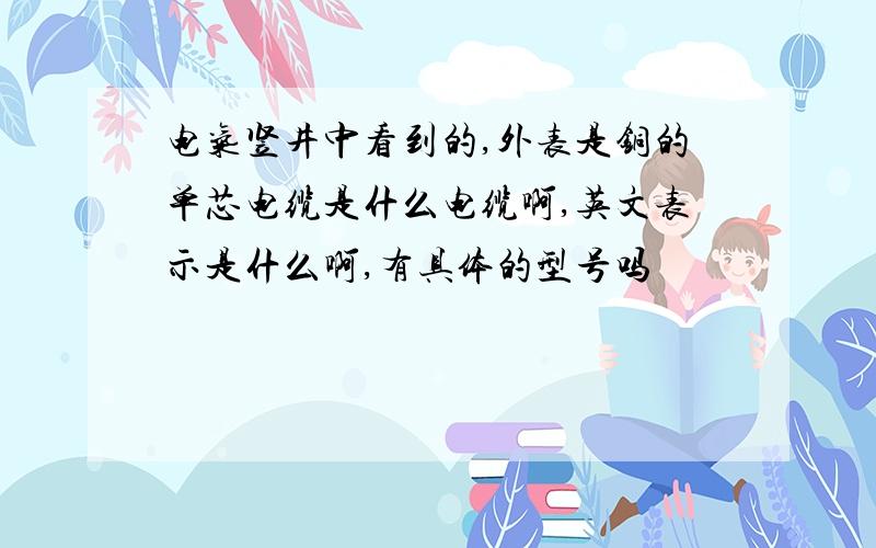 电气竖井中看到的,外表是铜的单芯电缆是什么电缆啊,英文表示是什么啊,有具体的型号吗