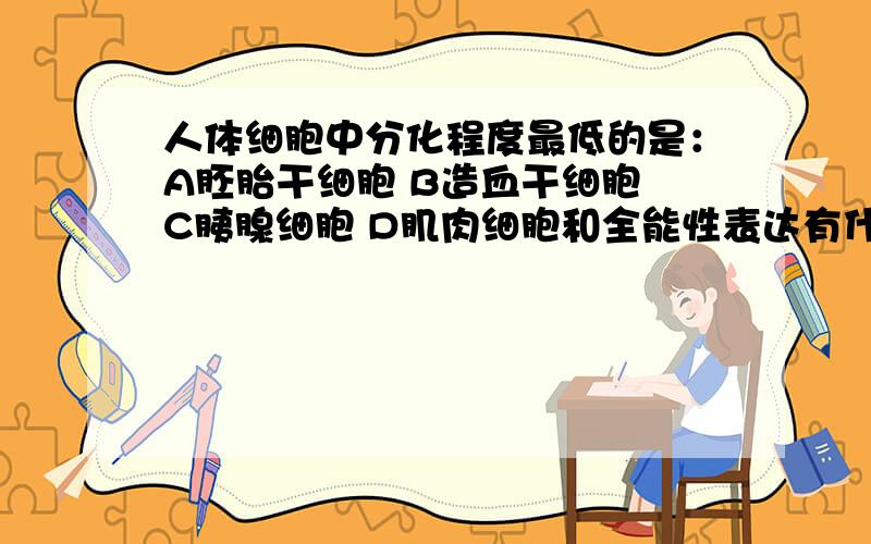 人体细胞中分化程度最低的是：A胚胎干细胞 B造血干细胞 C胰腺细胞 D肌肉细胞和全能性表达有什么关系