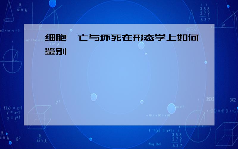 细胞凋亡与坏死在形态学上如何鉴别