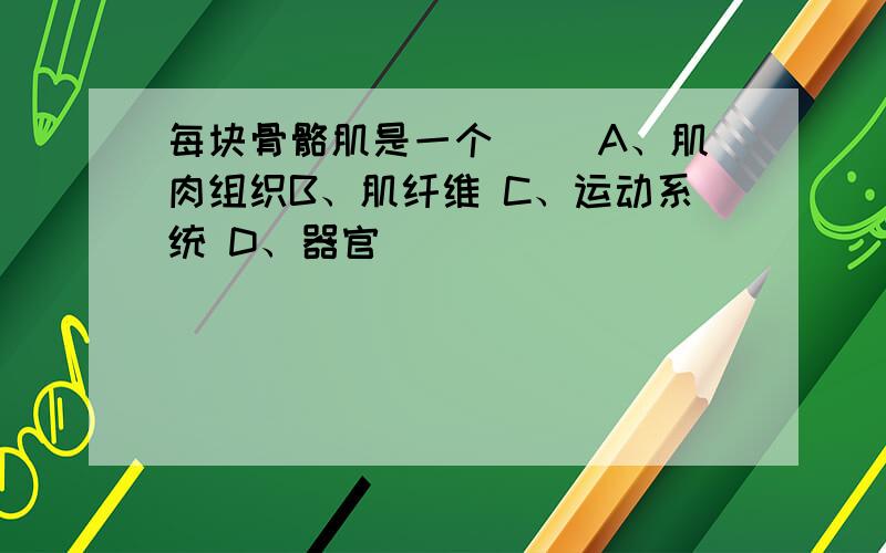 每块骨骼肌是一个（ ）A、肌肉组织B、肌纤维 C、运动系统 D、器官