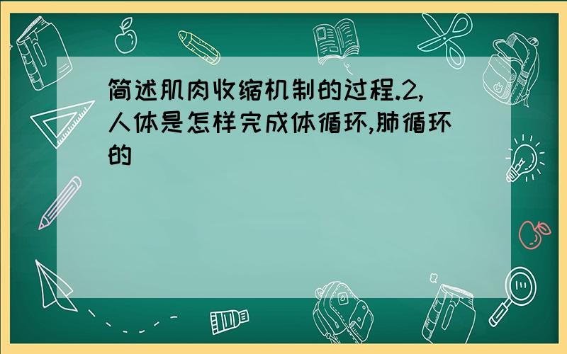 简述肌肉收缩机制的过程.2,人体是怎样完成体循环,肺循环的