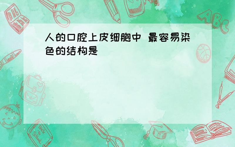 人的口腔上皮细胞中 最容易染色的结构是