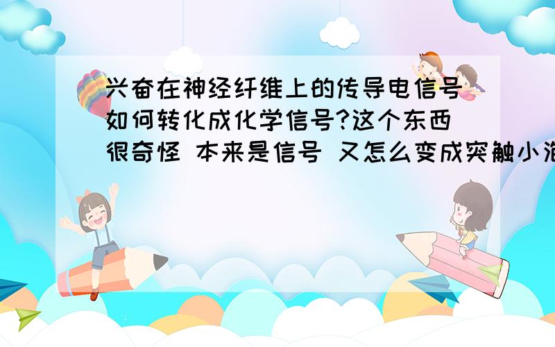 兴奋在神经纤维上的传导电信号如何转化成化学信号?这个东西很奇怪 本来是信号 又怎么变成突触小泡这样一个实体?