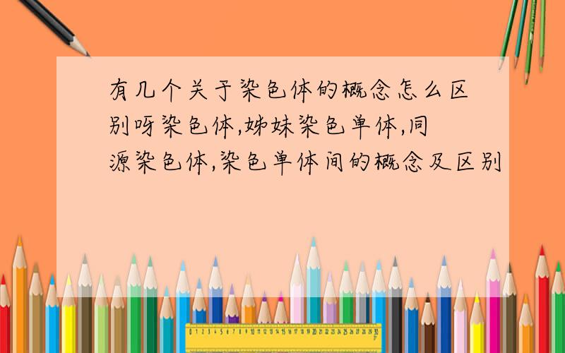 有几个关于染色体的概念怎么区别呀染色体,姊妹染色单体,同源染色体,染色单体间的概念及区别