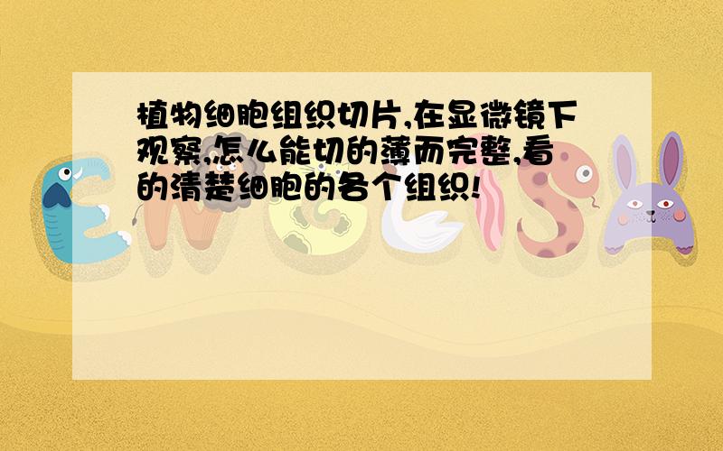 植物细胞组织切片,在显微镜下观察,怎么能切的薄而完整,看的清楚细胞的各个组织!