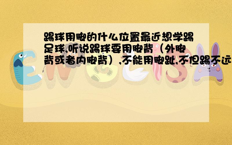 踢球用脚的什么位置最近想学踢足球,听说踢球要用脚背（外脚背或者内脚背）,不能用脚趾,不但踢不远还会疼.我查了一下,内外脚背就是脚背左侧,右侧,踢足球时把脚伸直用脚背踢（相当于踮