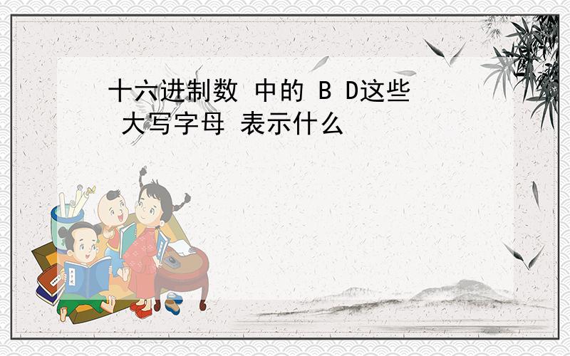 十六进制数 中的 B D这些 大写字母 表示什么