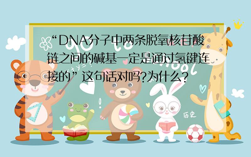 “DNA分子中两条脱氧核苷酸链之间的碱基一定是通过氢键连接的”这句话对吗?为什么?