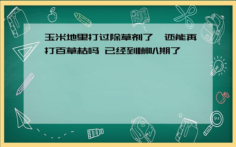 玉米地里打过除草剂了,还能再打百草枯吗 已经到喇叭期了