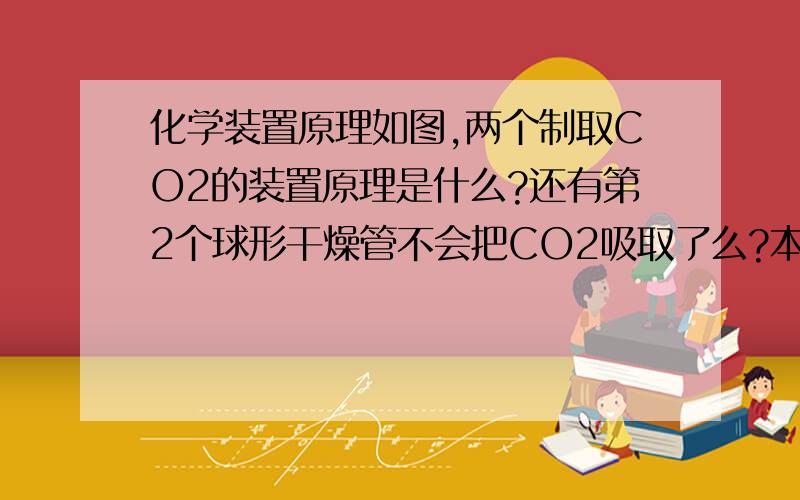 化学装置原理如图,两个制取CO2的装置原理是什么?还有第2个球形干燥管不会把CO2吸取了么?本人愚昧,