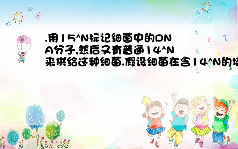 .用15^N标记细菌中的DNA分子,然后又有普通14^N来供给这种细菌.假设细菌在含14^N的培养基上连续分裂两次产生4个新个体,它们DNA分子中的含15^N的DNA与不含15的DNA的比值是?