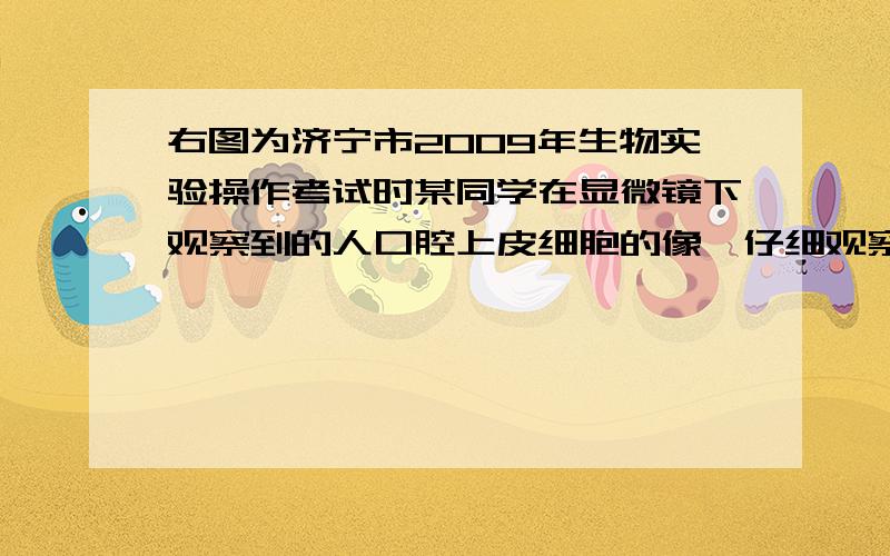 右图为济宁市2009年生物实验操作考试时某同学在显微镜下观察到的人口腔上皮细胞的像,仔细观察并分析：从像A变成像B是做了怎样的处理（　　）①低倍镜换成了高倍镜②玻片向右下移动了