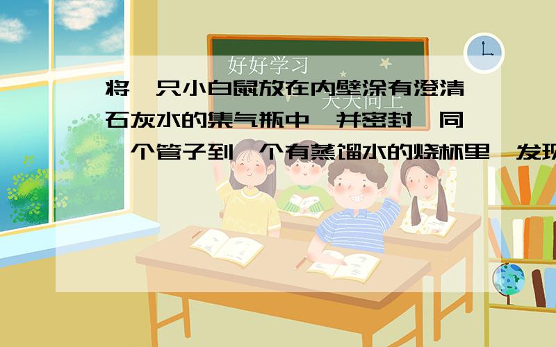 将一只小白鼠放在内壁涂有澄清石灰水的集气瓶中,并密封,同一个管子到一个有蒸馏水的烧杯里,发现小白鼠仍能存活一段时间,且瓶避逐渐变模糊.小白鼠能存活一段时间的原因是_________________