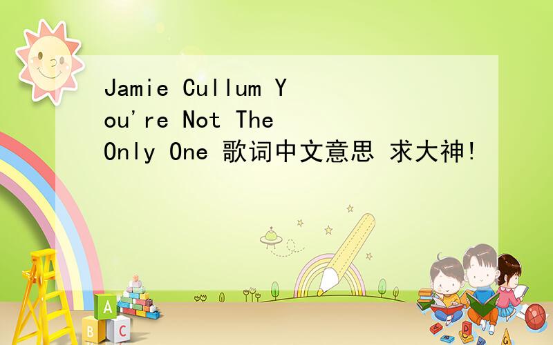 Jamie Cullum You're Not The Only One 歌词中文意思 求大神!