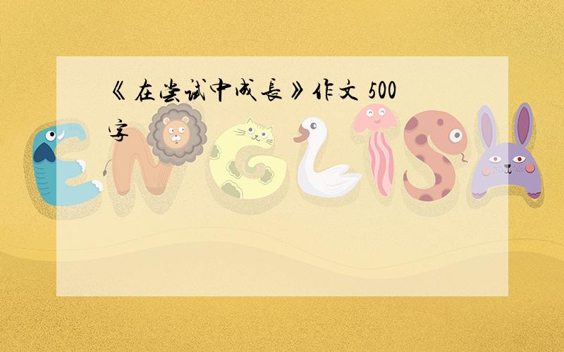 《在尝试中成长》作文 500字