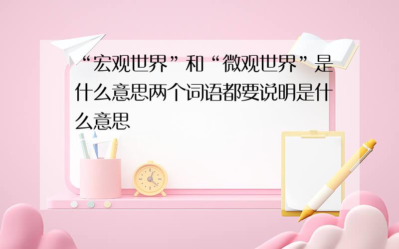 “宏观世界”和“微观世界”是什么意思两个词语都要说明是什么意思