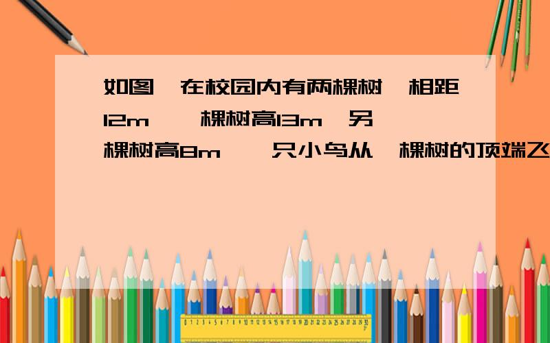 如图,在校园内有两棵树,相距12m,一棵树高13m,另一棵树高8m,一只小鸟从一棵树的顶端飞到另一棵树的顶端,小鸟至少要飞多少m.