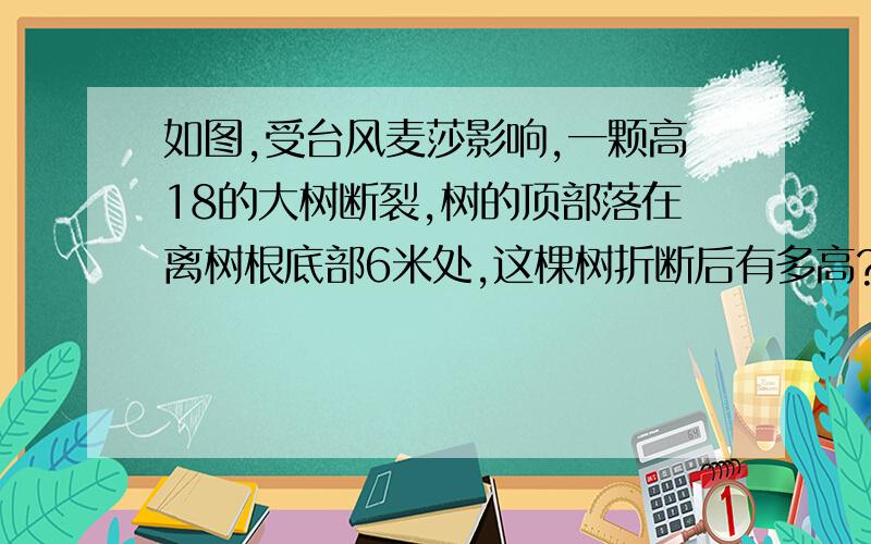 如图,受台风麦莎影响,一颗高18的大树断裂,树的顶部落在离树根底部6米处,这棵树折断后有多高?