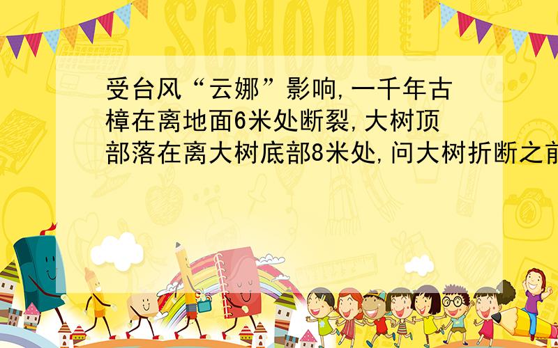 受台风“云娜”影响,一千年古樟在离地面6米处断裂,大树顶部落在离大树底部8米处,问大树折断之前有多高